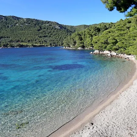 With Parking Space Zuljana, Peljesac - 20413 *