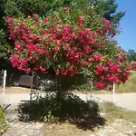 With Parking Space Zuljana, Peljesac - 20413 Lejlighed *