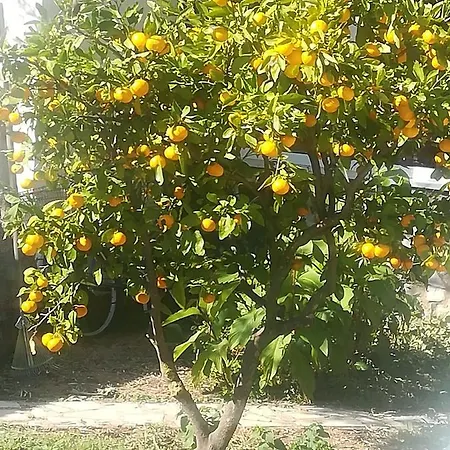 With Parking Space Zuljana, Peljesac - 20413 * Žuljana