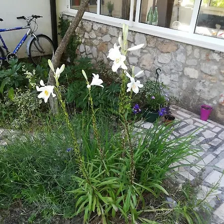 With Parking Space Zuljana, Peljesac - 20413 Žuljana